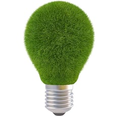 Green Light bulb