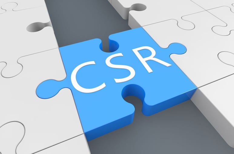 csr-puzzle-piece-graphic